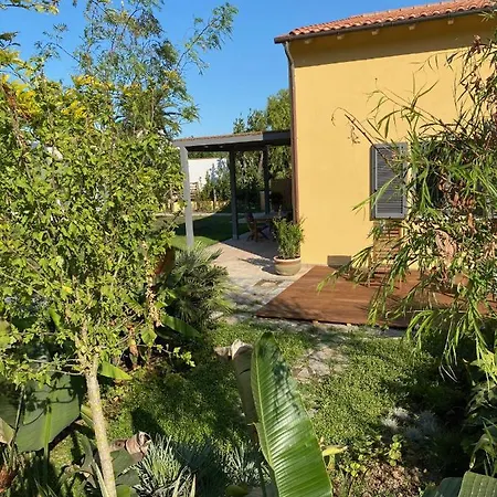 La Cellula Casa Alzi