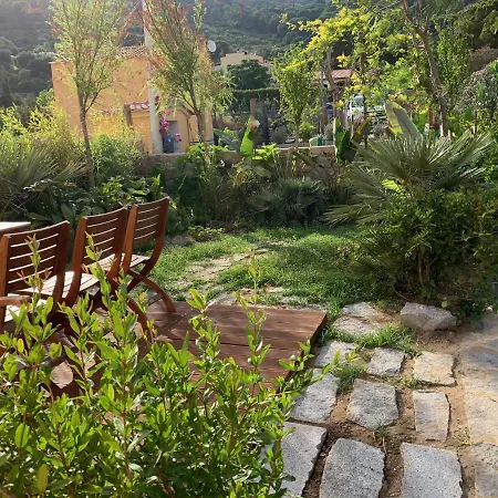 La Cellula * Casa Alzi